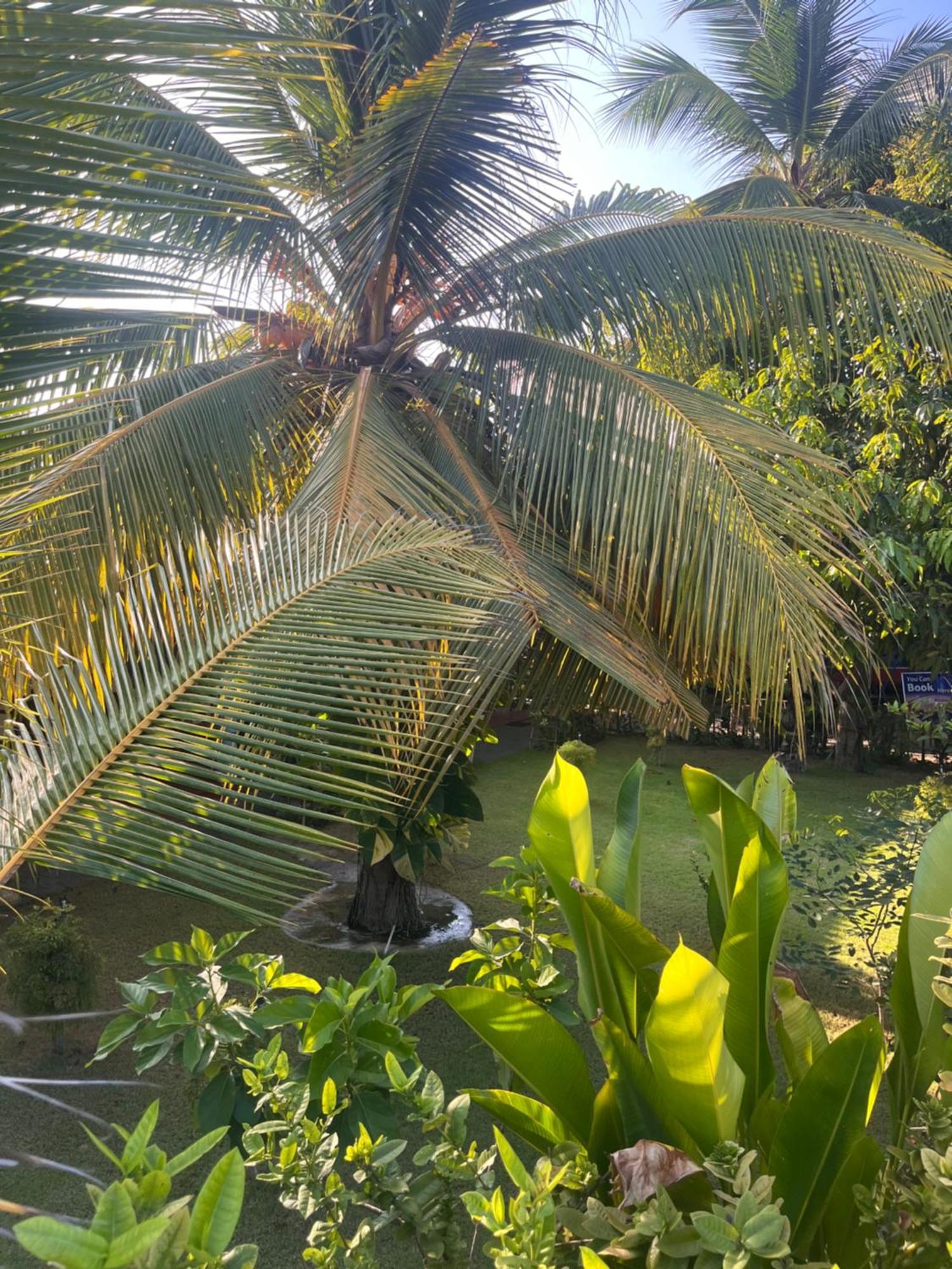 Lobster Inn Trincomalee Ngoại thất bức ảnh