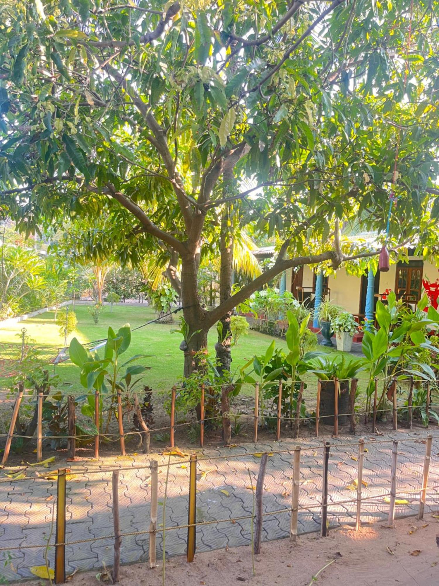 Lobster Inn Trincomalee Ngoại thất bức ảnh