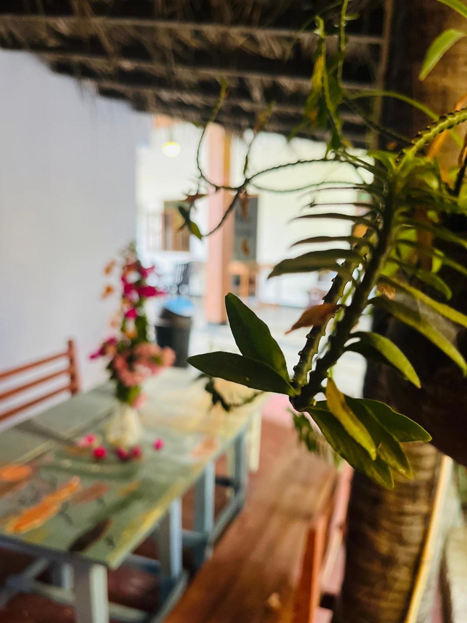 Lobster Inn Trincomalee Ngoại thất bức ảnh